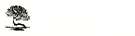 buy button